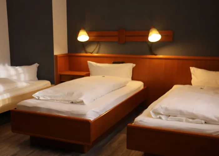 Hotel Alt Steinbach 2*