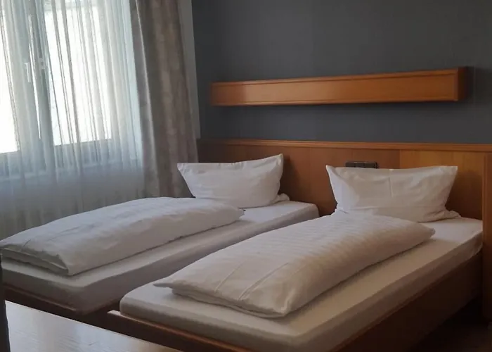 Hotel Alt Steinbach 2*